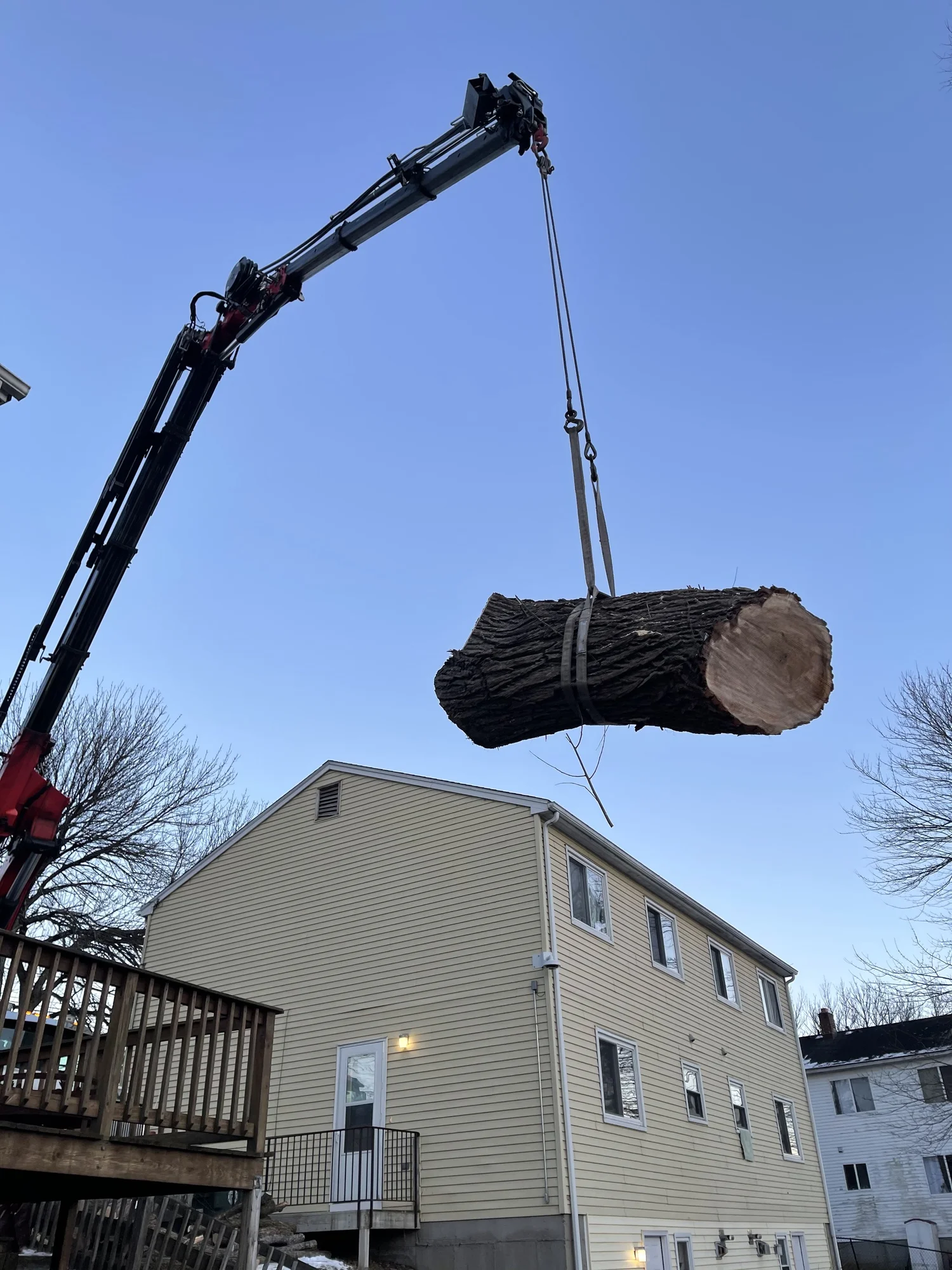 Rana crane lifting a tree section