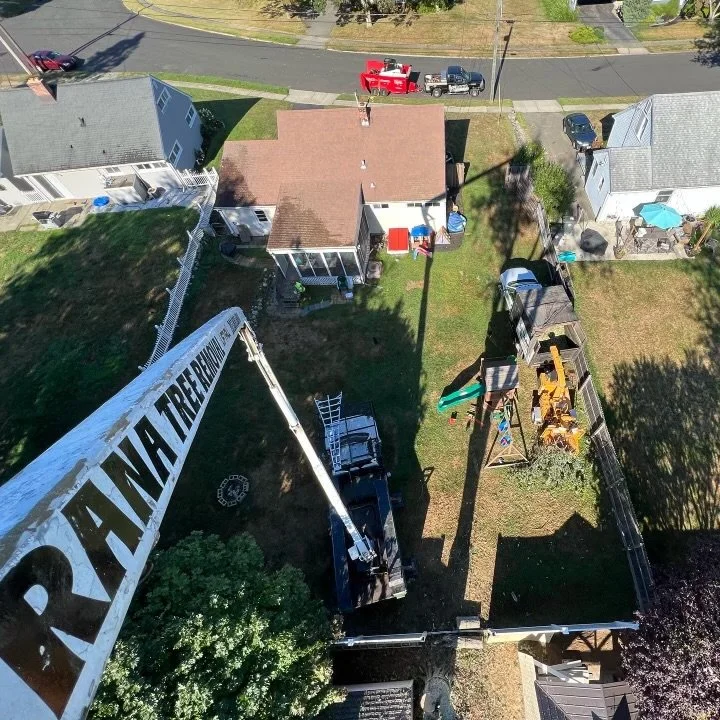 Rana Tree Removal crane at a Connecticut property