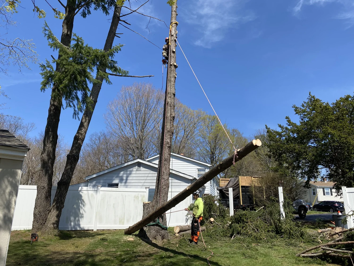 Rana Tree Removal crew carefully lowering a cut tree section at a Connecticut home